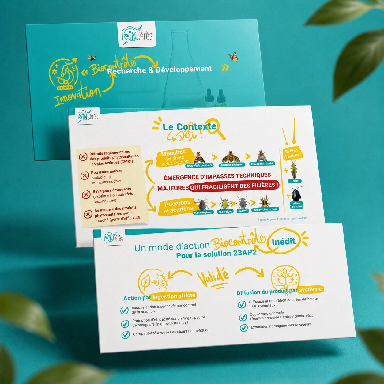 Charte graphique PowerPoint INCérès